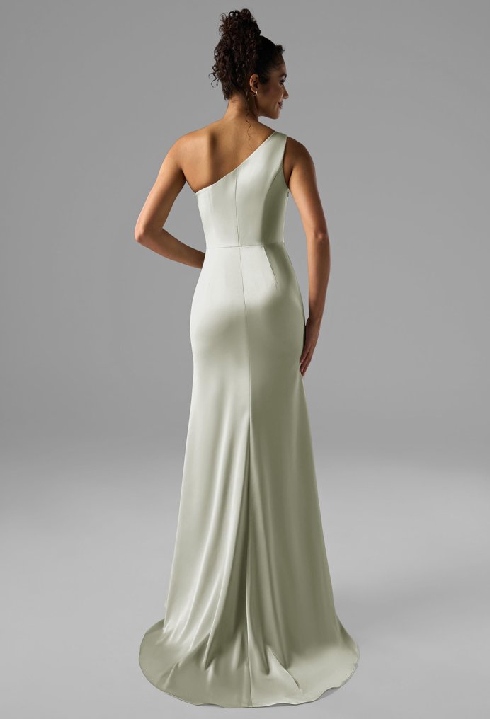 AW Rohan Dress